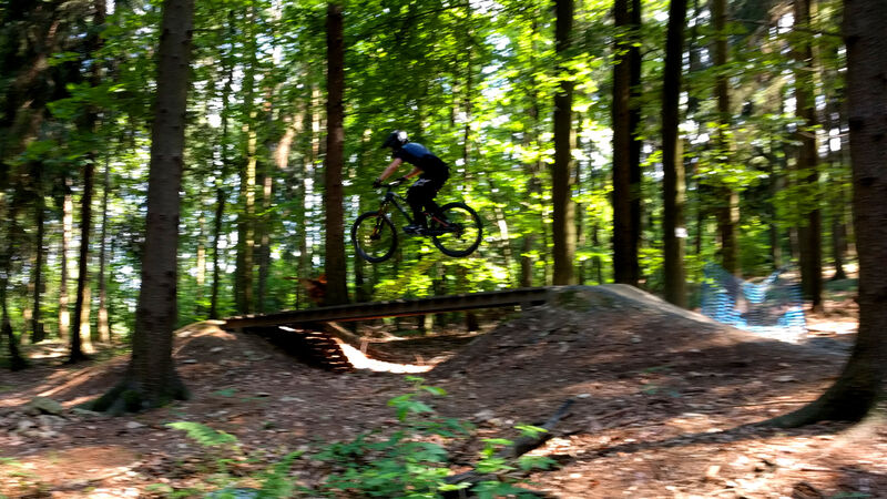 Ferienwohnung Lausitzblick - Bikepark und Downhillstrecke Elstra Bild 3