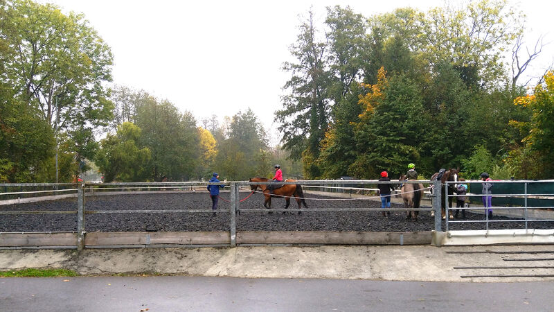 Ferienwohnung Lausitzblick - Reiten in Wittichenau Bild 1