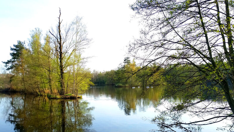 Ferienwohnung Lausitzblick - Teichgebiet Biehla/Schönteichen Weißig/Oßling Bild 1