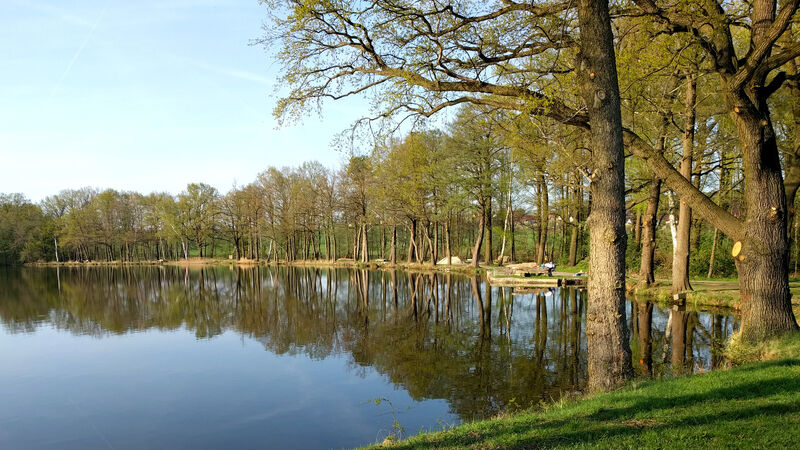 Ferienwohnung Lausitzblick - Teichgebiet Biehla/Schönteichen Weißig/Oßling Bild 2