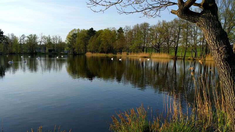Ferienwohnung Lausitzblick - Teichgebiet Biehla/Schönteichen Weißig/Oßling Bild 3